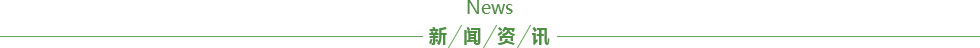 im官网